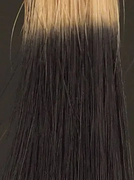 ヘアカラートリートメント デイラルカラー ブラック 200g×4本セット デイラルカラー -Day Ral Color- ｜ 白髪ケア：美髪カラー