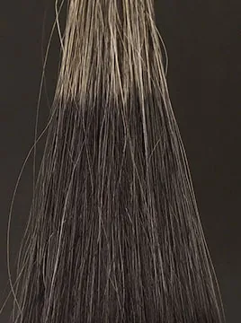 デイラルカラー カラートリートメントブラック50%白髪1回染毛