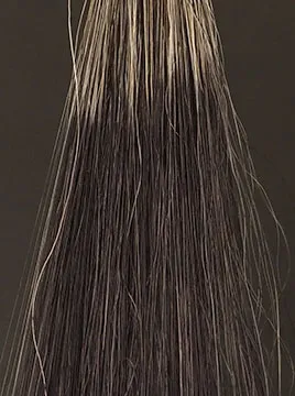 デイラルカラーヘアトリートメント４本セット デイラルカラー全4色の染まりを徹底検証。口コミ分析＆専門家の