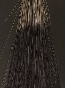 デイラルカラー カラートリートメントブラック50%白髪3回染毛