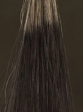 デイラルカラー カラートリートメントブラック50%白髪4回染毛