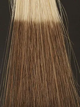 デイラルカラー カラートリートメントブラウン1回染毛