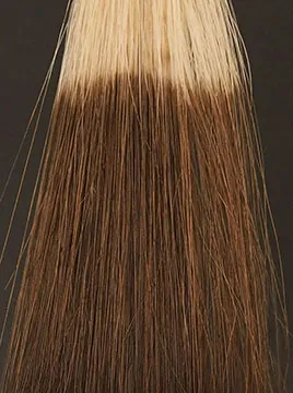 デイラルカラー カラートリートメントブラウン2回染毛