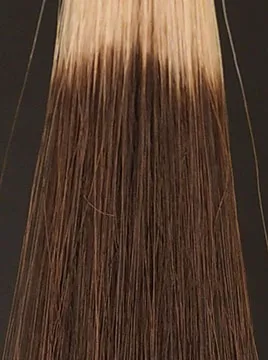 デイラルカラー カラートリートメントブラウン3回染毛