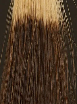 デイラルカラー カラートリートメントブラウン4回染毛