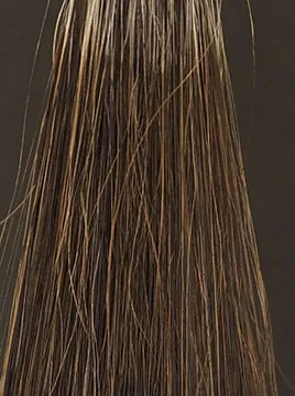 デイラルカラー カラートリートメントブラウン50%白髪2回染毛