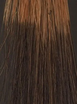 デイラルカラー カラートリートメントブラウンブリーチ毛1回染毛