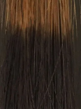 デイラルカラー カラートリートメントブラウンブリーチ毛3回染毛