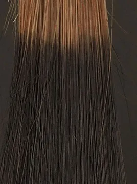 デイラルカラー カラートリートメントブラウンブリーチ毛5回染毛