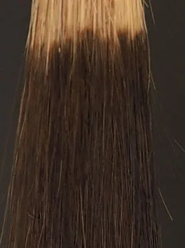 デイラルカラー カラートリートメントブラウンハイブリーチ毛1回染毛