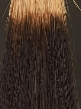 デイラルカラー カラートリートメントブラウンハイブリーチ毛2回染毛