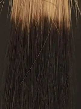 デイラルカラー カラートリートメントブラウンハイブリーチ毛3回染毛