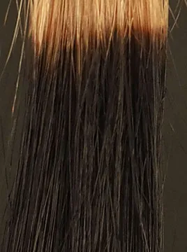 デイラルカラー カラートリートメントブラウンハイブリーチ毛4回染毛