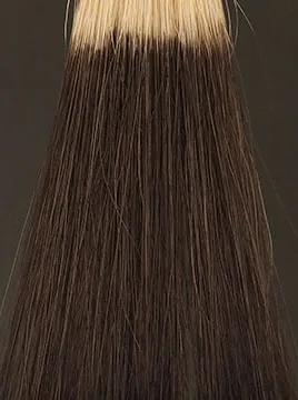 デイラルカラー カラートリートメントダークブラウン2回染毛