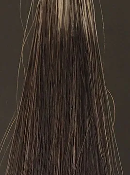 デイラルカラー カラートリートメントダークブラウン50%白髪2回染毛