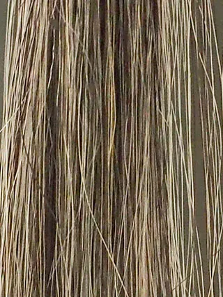 モデムビューティーブラック10回染毛