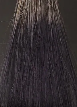 ヘアージュ ヘアカラーフォームナチュラルブラック15分染毛