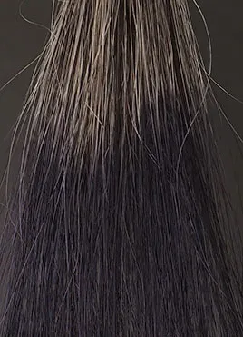 ヘアージュ ヘアカラーフォームナチュラルブラック30分染毛