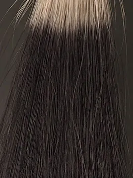 アデランス ヘアリプロナチュラルブラック5回染毛