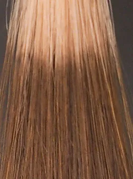 ハーバニエンスベージュブラウン5回染毛