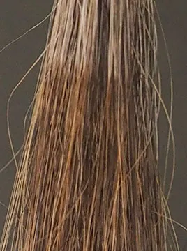 ハーバニエンスベージュブラウン50%白髪1回染毛