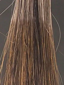 ハーバニエンスベージュブラウン50%白髪2回染毛