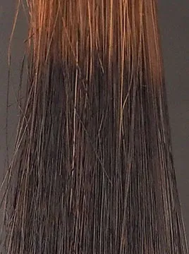 ブリーチ毛5回染毛