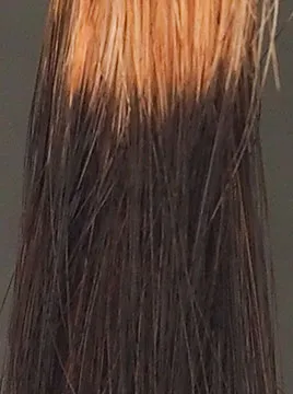 ハイブリーチ毛1回染毛