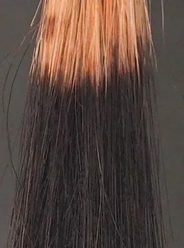ハイブリーチ毛2回染毛