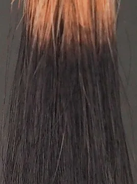 ハイブリーチ毛3回染毛