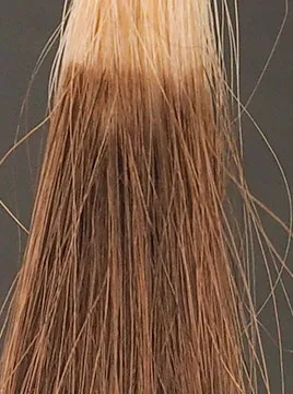 ハーバニエンスナチュラルブラウン1回染毛