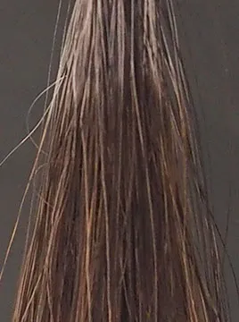 ハーバニエンスナチュラルブラウン50%白髪2回染毛