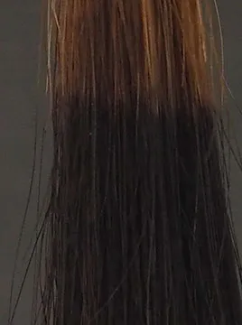 ブリーチ毛5回染毛