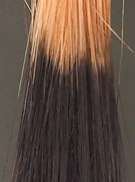 ハイブリーチ毛1回染毛