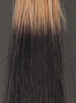 ハイブリーチ毛3回染毛