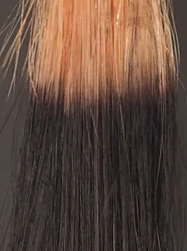 ハイブリーチ毛4回染毛