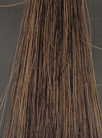 ハイステップダークブラウン1回染毛