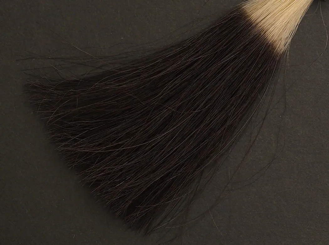 フラガール カラートリートメント アッシュブラウン5回染毛時