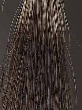 フラガール・カラートリートメントアッシュブラウン50%白髪3回染毛