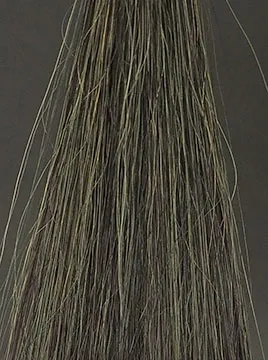 POLAブラック50%白髪3回染毛