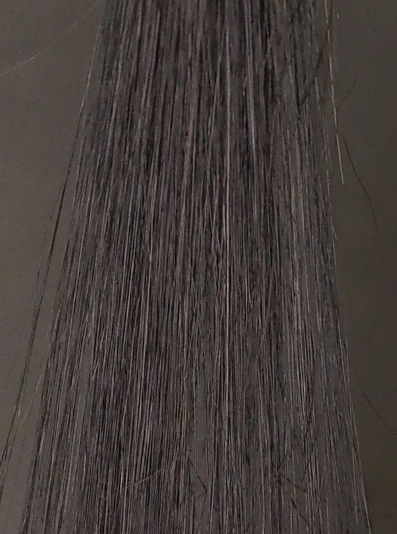 POLAブラック1回染毛