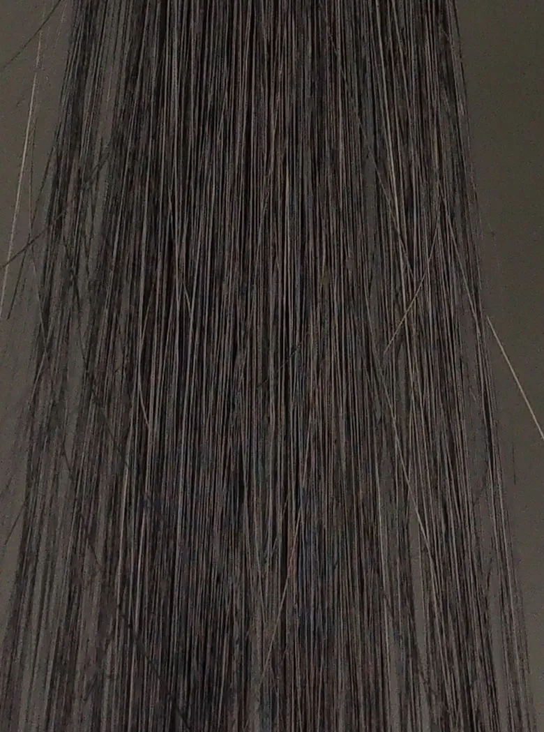 POLAブラック2回染毛