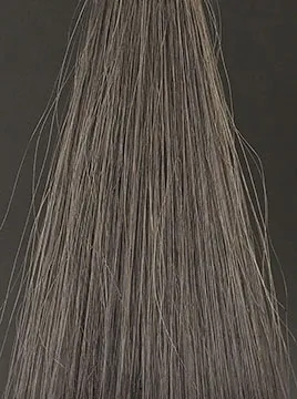 プリオールブラック2回染毛