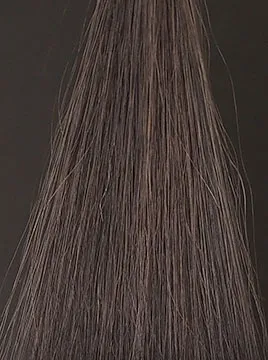 プリオールブラック4回染毛