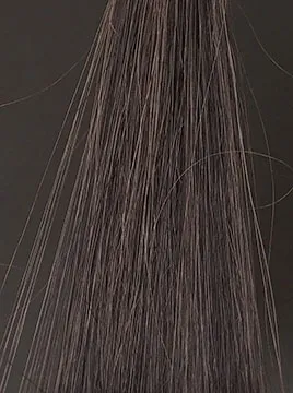 プリオールブラック50%白髪4回染毛