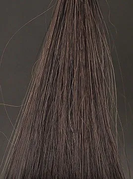 プリオールブラック50%白髪5回染毛