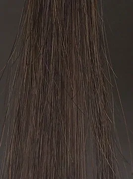 プリオールブラックブリーチ毛1回染毛