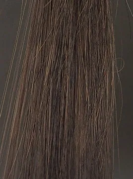 プリオールブラックブリーチ毛2回染毛