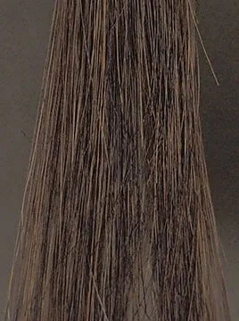 プリオールブラックブリーチ毛3回染毛