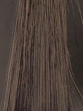 プリオールブラックハイブリーチ毛3回染毛